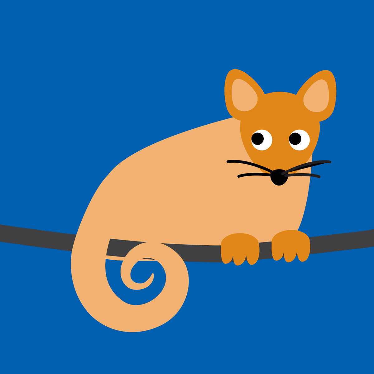 Ringtail Possum card