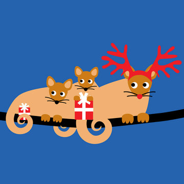 Ringtail possums Christmas card