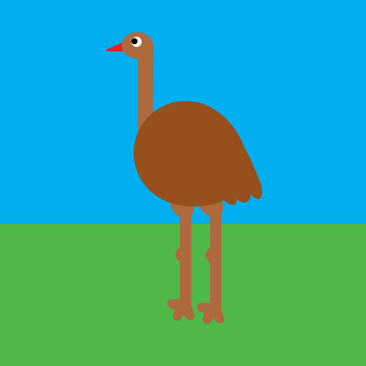 Emu card